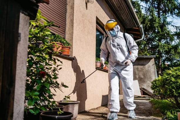 Best Pest Removal Services  in Monessen, PA