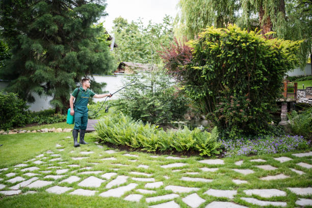 Best Best Pest Control Companies  in Monessen, PA
