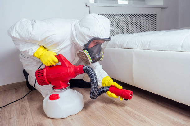 Best Wasp Removal Services  in Monessen, PA