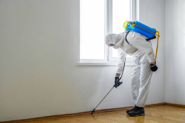Best Pest Removal Services  in Monessen, PA