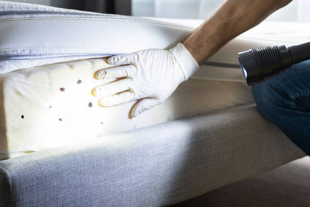 Best Insect Control  in Monessen, PA